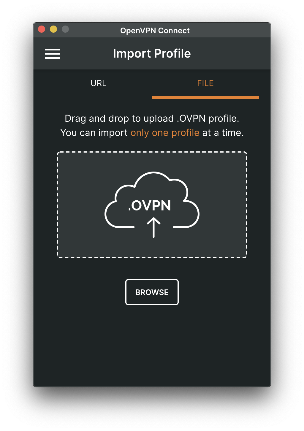 OpenVPN