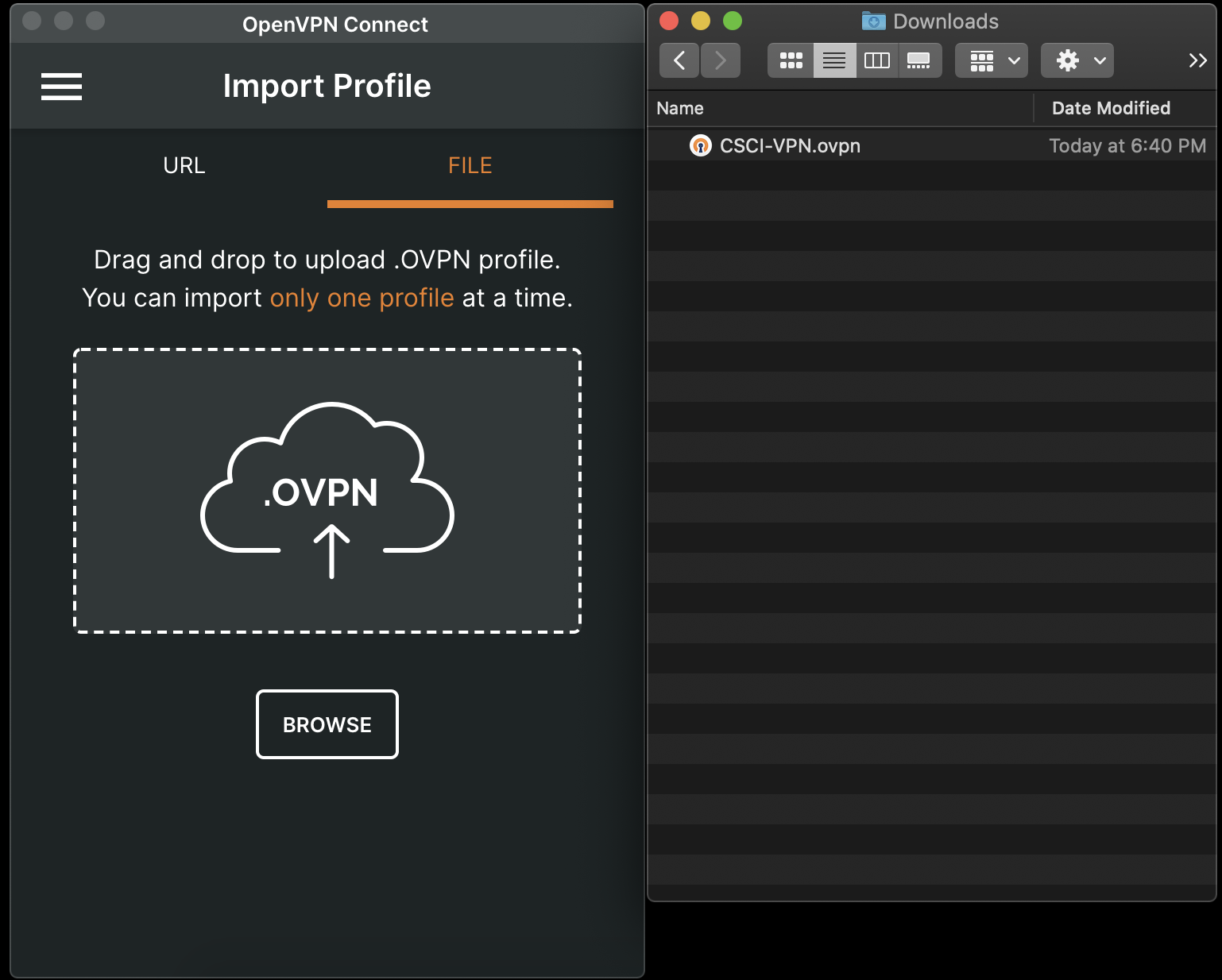 OpenVPN