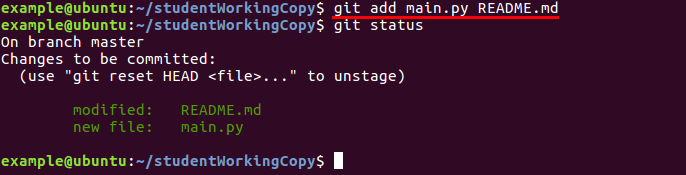 Capture of the terminal using git add on two file arguments
