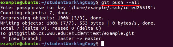 git push --all being used to push a git commit to the master branch